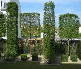 Tel. +49 513 7141 6674, Ihr Umzug, Entrümpelung und Gartenarbeiten sind bei uns in besten Händen - Umzugsunternehmen vergleichen und sparen mit 20% Rabatt
