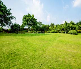 Tel. +49 513 7141 6674, Ihr Umzug, Entrümpelung und Gartenarbeiten sind bei uns in besten Händen - Umzugsunternehmen vergleichen und sparen mit 20% Rabatt