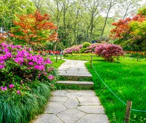 Tel. +49 513 7141 6674, Ihr Umzug, Entrümpelung und Gartenarbeiten sind bei uns in besten Händen - Umzugsunternehmen vergleichen und sparen mit 20% Rabatt